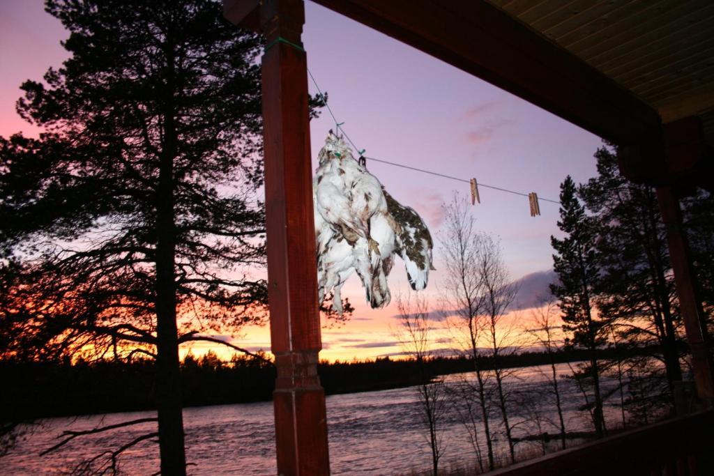 Luongasloma Chalets Palojoensuu Oda fotoğraf